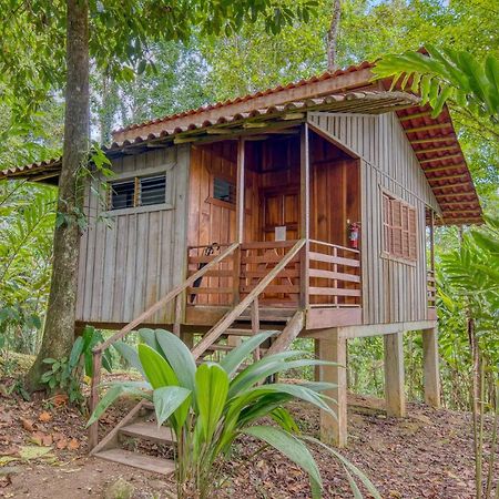 Selva Bananito Lodge Westfalia Exteriör bild