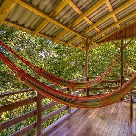 Selva Bananito Lodge Westfalia Exteriör bild
