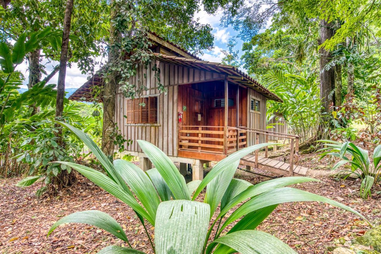 Selva Bananito Lodge Westfalia Exteriör bild