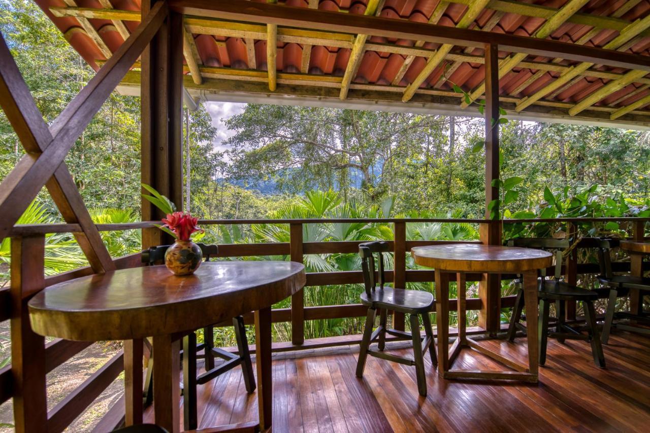Selva Bananito Lodge Westfalia Exteriör bild