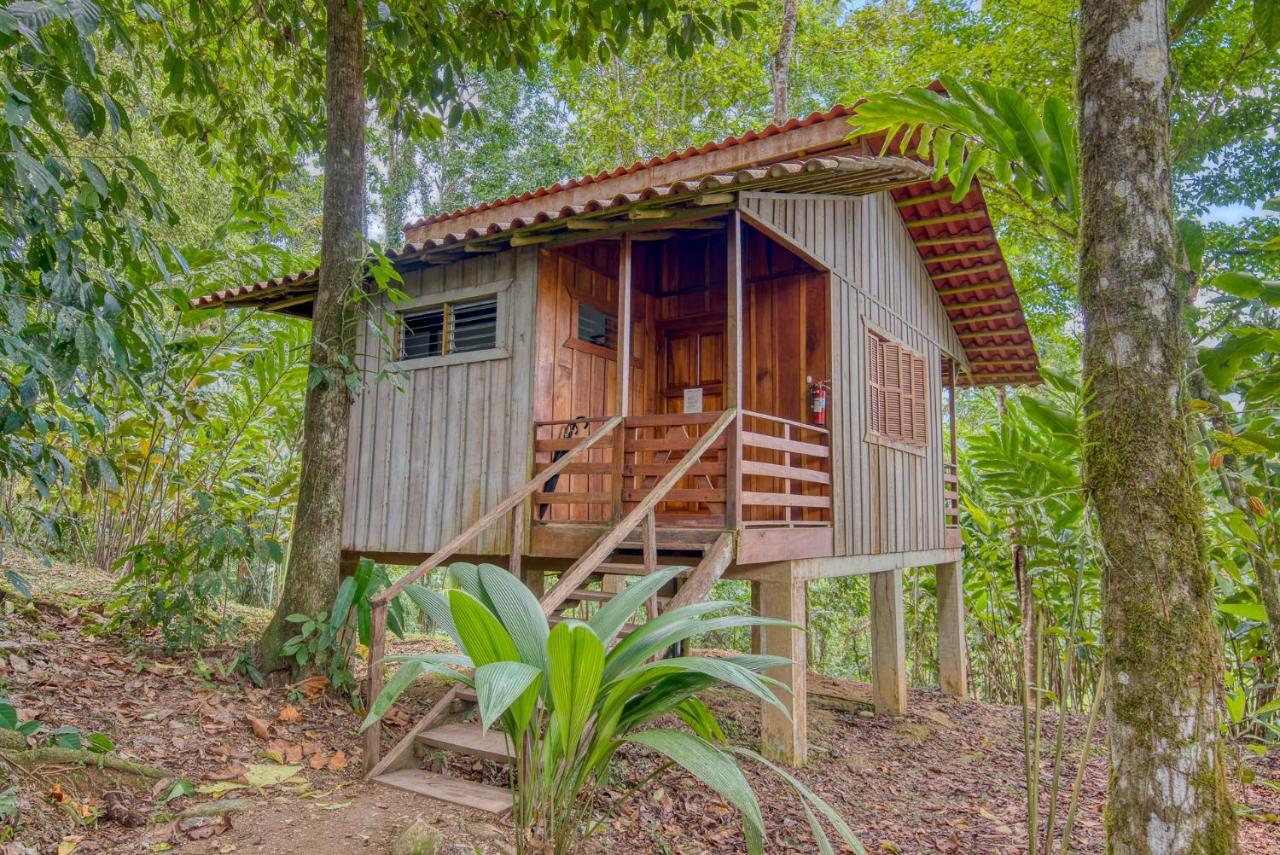 Selva Bananito Lodge Westfalia Exteriör bild