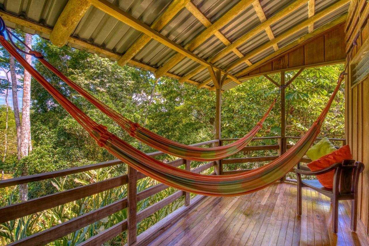 Selva Bananito Lodge Westfalia Exteriör bild