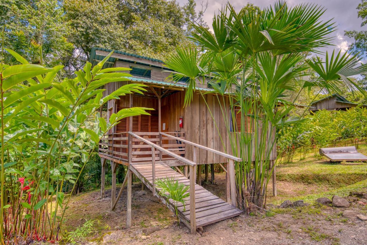 Selva Bananito Lodge Westfalia Exteriör bild